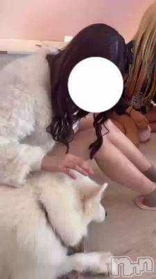 ��դ�������𐔌���- · -���𐦯