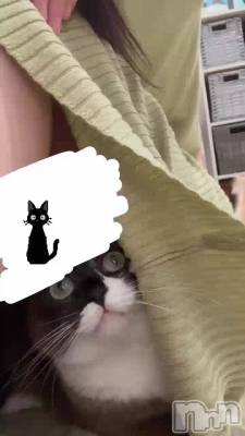 ˤ