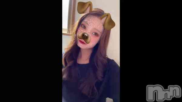 ֽ뤵餱&#x1F436;