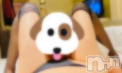 新潟デリヘル一夜妻(イチヤヅマ) りな/熟女のエロス(45)の2月26日写メブログ「上手に舐め舐め出来たね♪」