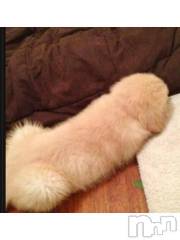 新潟デリヘル一夜妻(イチヤヅマ) りな/熟女のエロス(45)の7月14日写メブログ「これは…w」