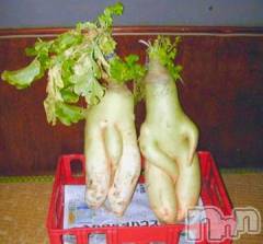 新潟デリヘル一夜妻(イチヤヅマ) りな/熟女のエロス(45)の9月3日写メブログ「夜食は納豆😅」