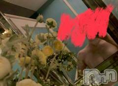 新潟デリヘル一夜妻(イチヤヅマ) りな/熟女のエロス(45)の12月16日写メブログ「ビンビン…✨」