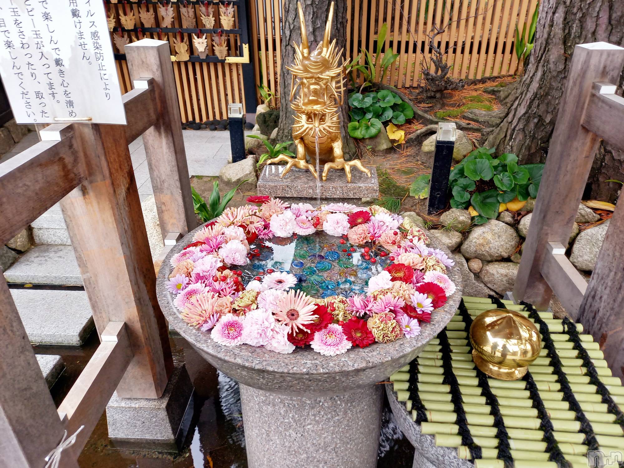 新潟デリヘルすずらん新潟店～ゆっくり長い時間を過ごせるお店～(スズランニイガタテン)田中まき(34)の2024年1月1日写メブログ「明けましておめでとうございます♡」