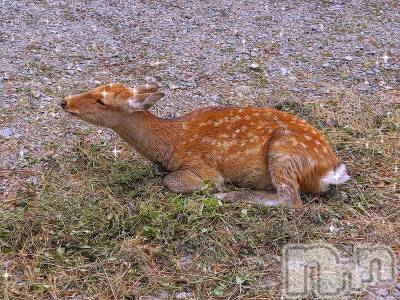 新潟デリヘル すずらん新潟店～ゆっくり長い時間を過ごせるお店～(スズランニイガタテン) 田中まき(34)の10月9日写メブログ「ピクピクしちゃう♡」