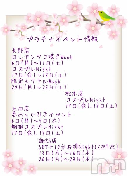 ��Ʋ����Х��顦����֥���� �ץ���� Ĺ��(����� �ץ���� �ʥ���) �Τ�Ź���٥�ȡ֥ץ���ʥ��٥�Ⱦ������