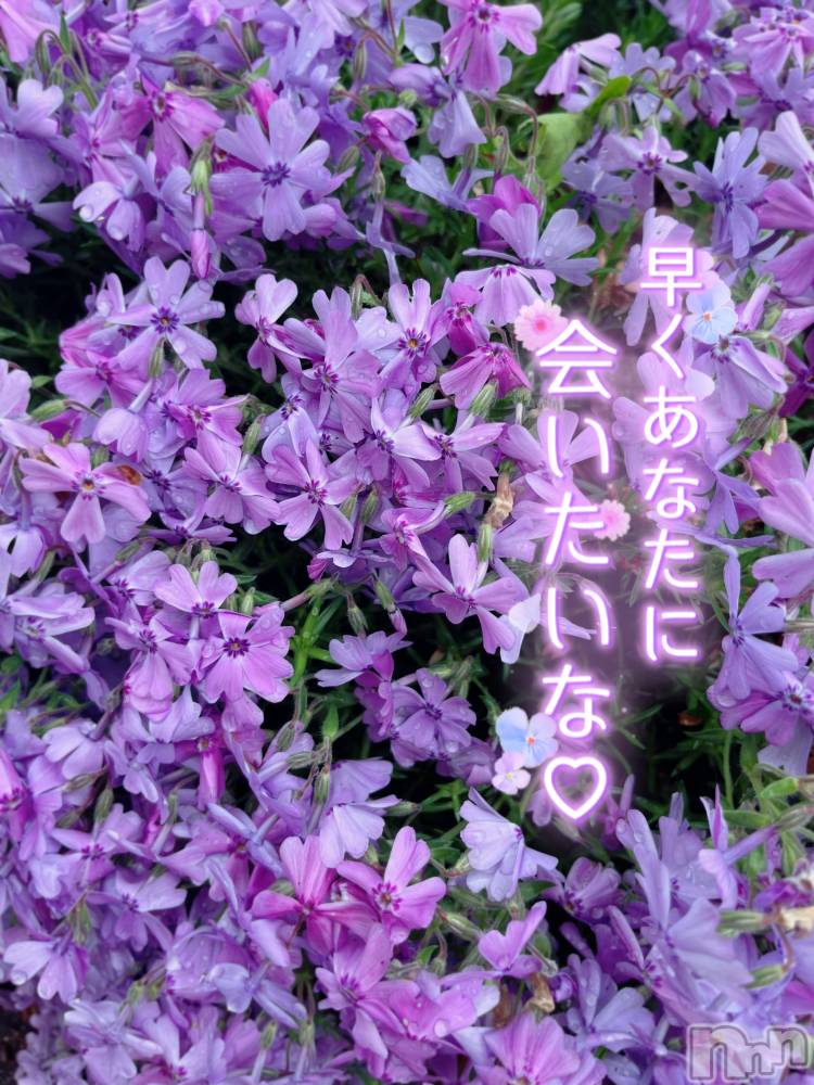 新潟デリヘルすずらん新潟店～ゆっくり長い時間を過ごせるお店～(スズランニイガタテン) 佐藤さえこ(36)の5月2日写メブログ「早くあなたに会いたいな♡」