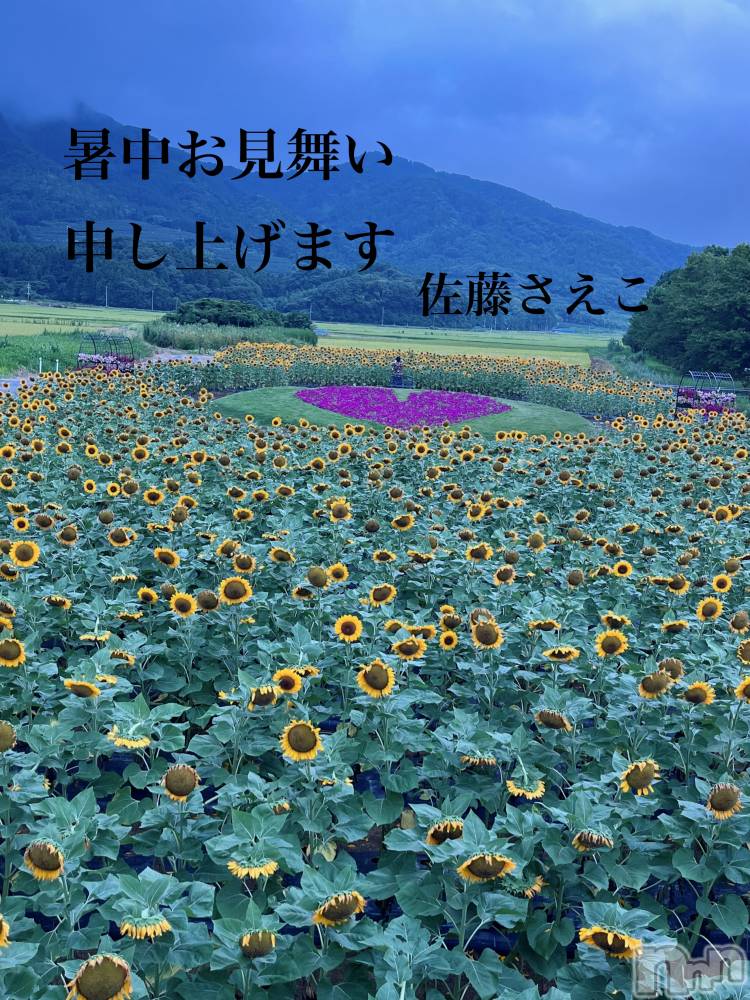 新潟デリヘルすずらん新潟店～ゆっくり長い時間を過ごせるお店～(スズランニイガタテン) 佐藤さえこ(36)の8月10日写メブログ「ヒマワリ畑🌻」