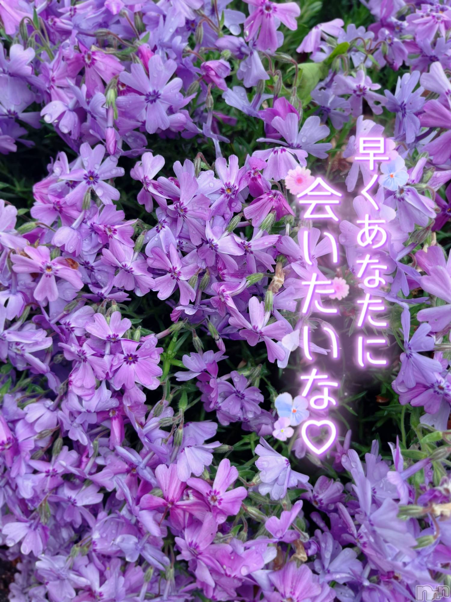 新潟デリヘルすずらん新潟店～ゆっくり長い時間を過ごせるお店～(スズランニイガタテン)佐藤さえこ(36)の2024年5月2日写メブログ「早くあなたに会いたいな♡」