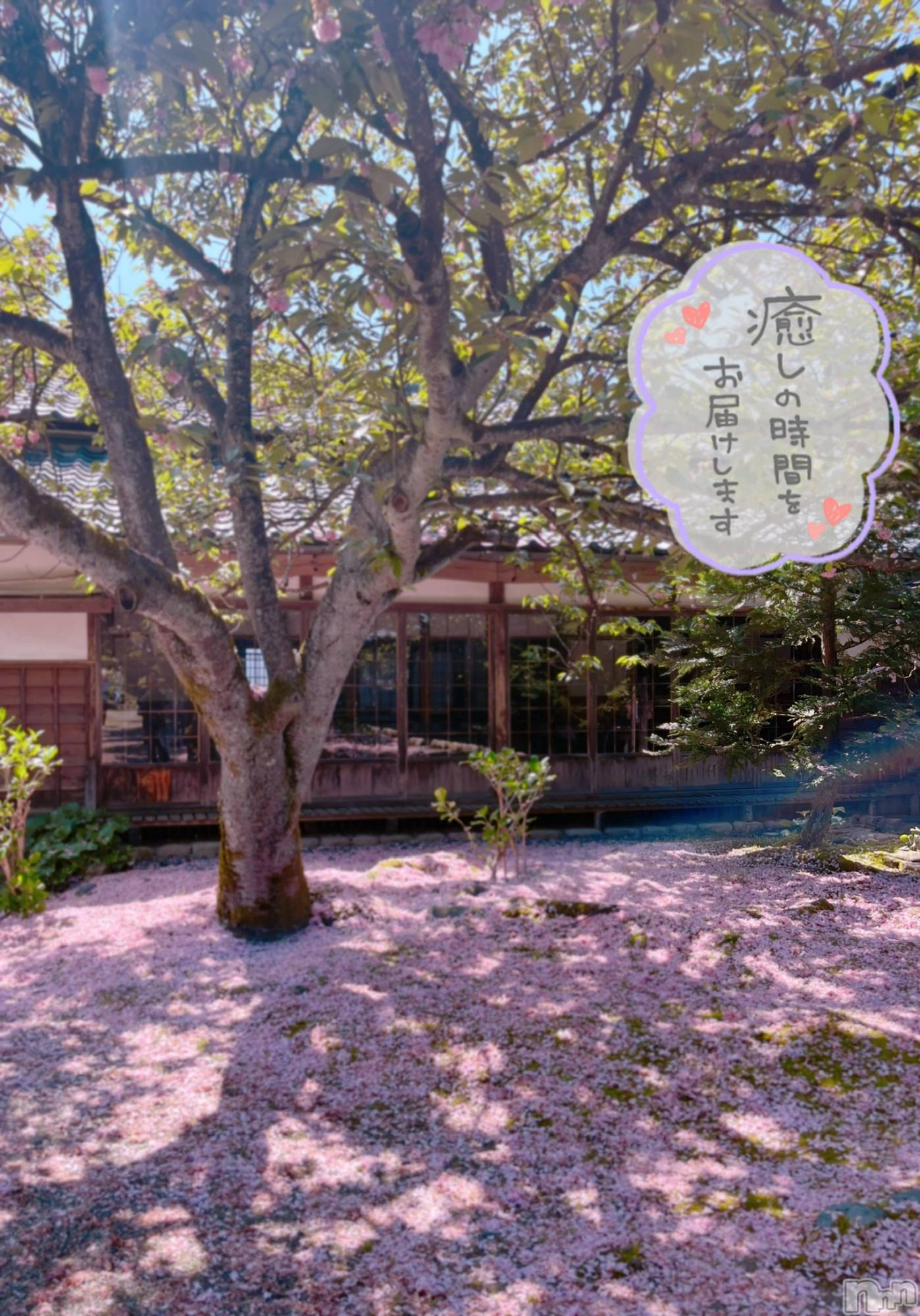 新潟デリヘルすずらん新潟店～ゆっくり長い時間を過ごせるお店～(スズランニイガタテン)佐藤さえこ(36)の2024年5月9日写メブログ「良い事ありそう~♡」