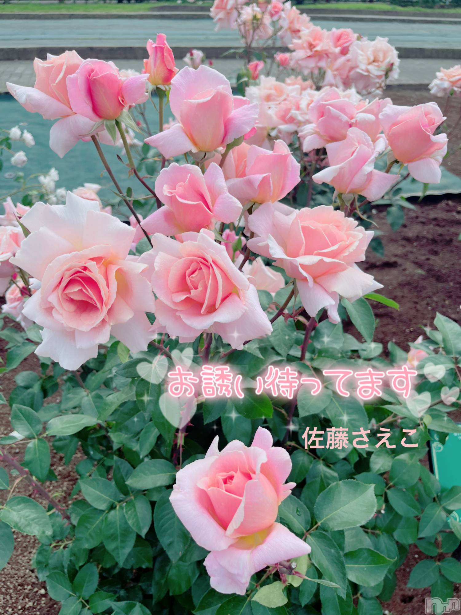 新潟デリヘルすずらん新潟店～ゆっくり長い時間を過ごせるお店～(スズランニイガタテン)佐藤さえこ(36)の2024年5月31日写メブログ「デートしませんか⁈」