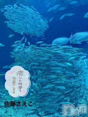 新潟デリヘル すずらん新潟店～ゆっくり長い時間を過ごせるお店～(スズランニイガタテン) 佐藤さえこ(36)の5月7日写メブログ「今、デートしてます🐠♡」