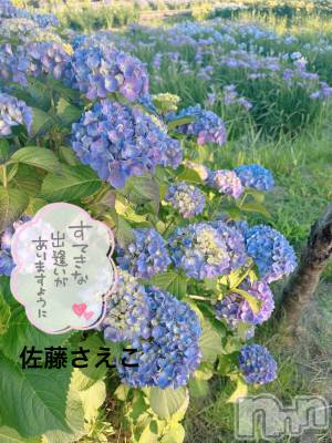 新潟デリヘル すずらん新潟店～ゆっくり長い時間を過ごせるお店～(スズランニイガタテン) 佐藤さえこ(36)の6月25日写メブログ「すてきな出逢いがありますように～」