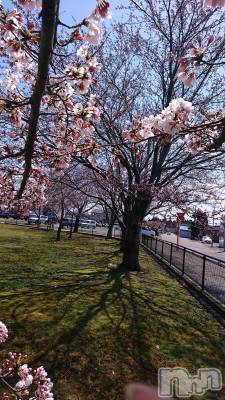 新潟デリヘル すずらん新潟店～ゆっくり長い時間を過ごせるお店～(スズランニイガタテン) 清水まこ(46)の4月9日写メブログ「明日ゎいよいよ、アタシの初出勤です💦」