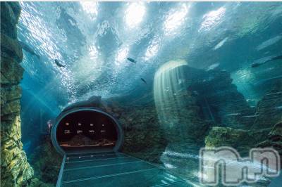 新潟デリヘル すずらん新潟店～ゆっくり長い時間を過ごせるお店～(スズランニイガタテン) 清水まこ(46)の2月8日写メブログ「水族館デートしたいなあ～🙌」