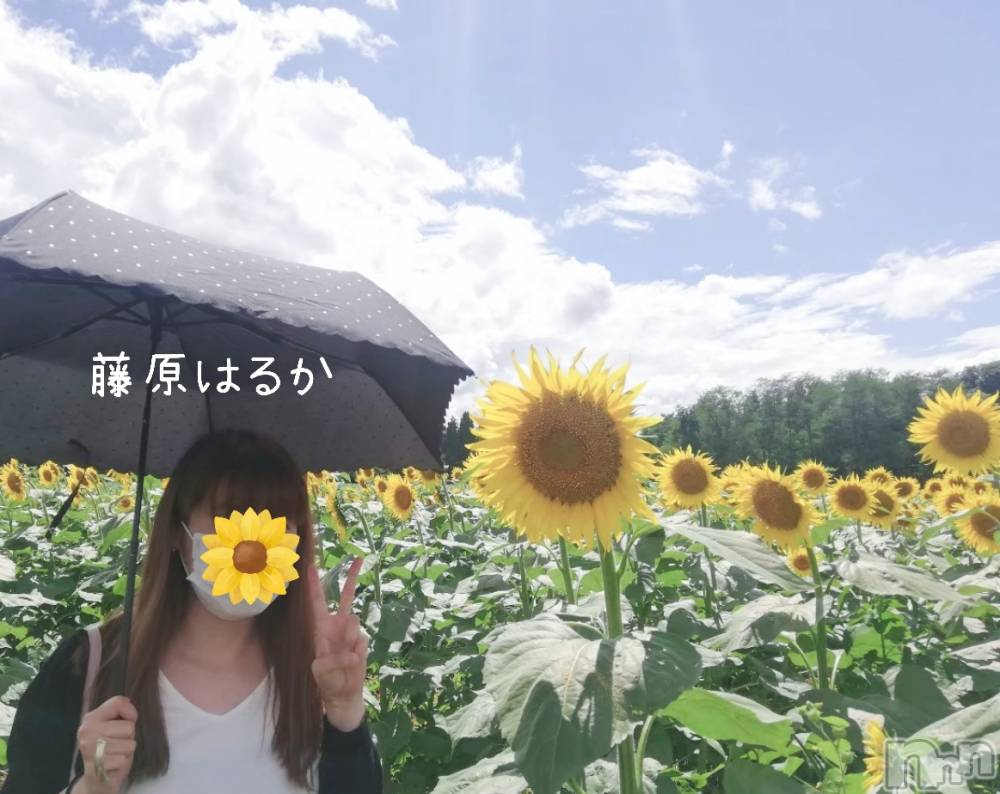 新潟デリヘルすずらん新潟店～ゆっくり長い時間を過ごせるお店～(スズランニイガタテン) 藤原はるか(38)の8月1日写メブログ「夏の思い出🌻🌞🍦🌊」
