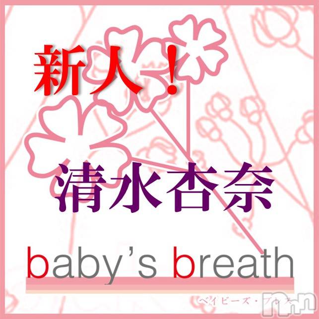 󥺥baby's breath(٥ӡ ֥쥹) 45̥֥ʤߤʡˤǤꤤޤ