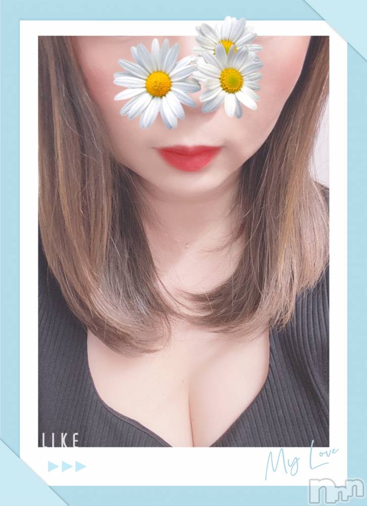 㡦ȯĥꥢ󥺥Ƥޤơ(ޥƥåȥ˥) 䤫520̥֥֤ˤ🌤