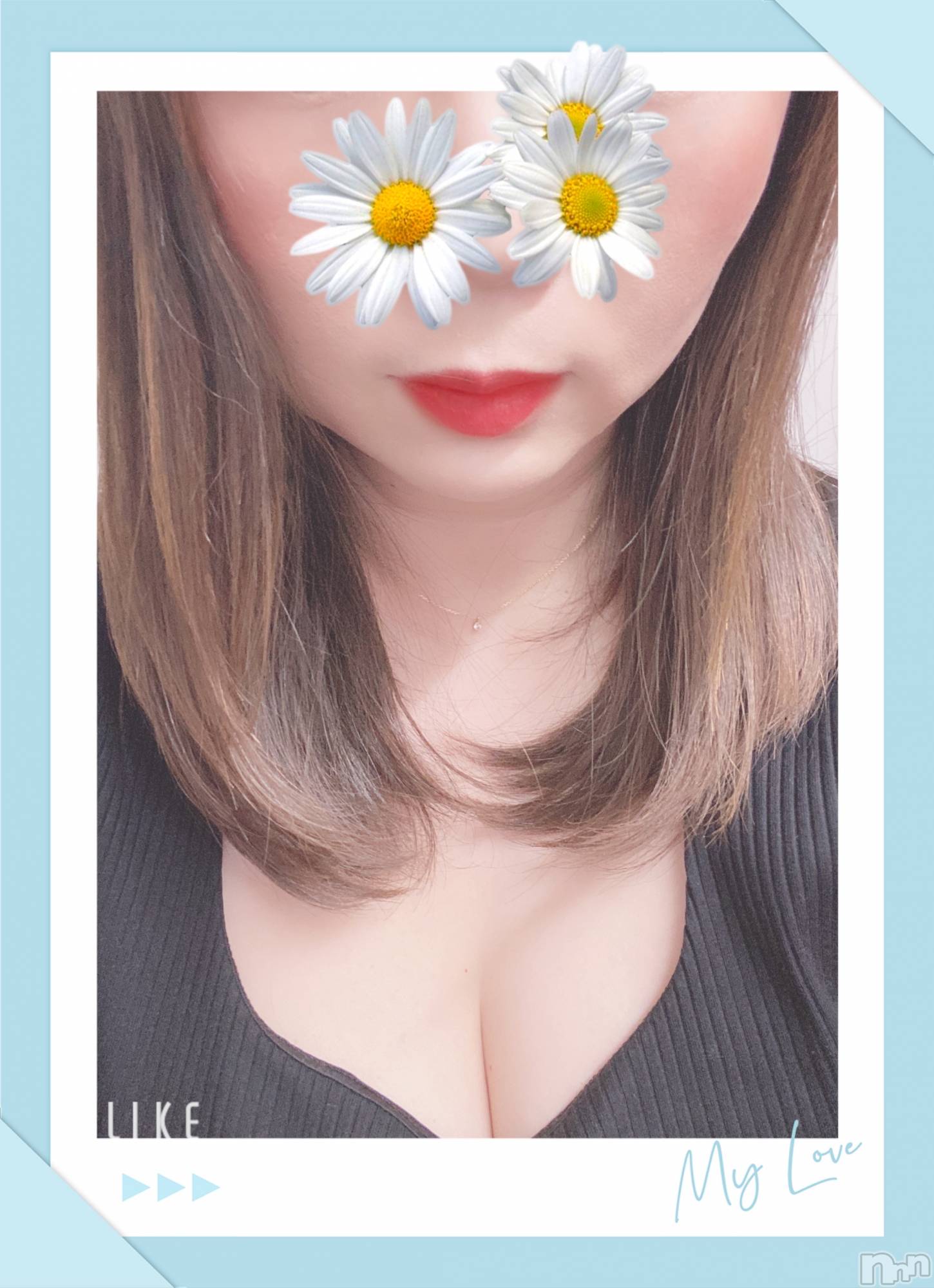 㡦ȯĥꥢ󥺥Ƥޤơ(ޥƥåȥ˥) 2022ǯ520̥֥֤ˤ🌤