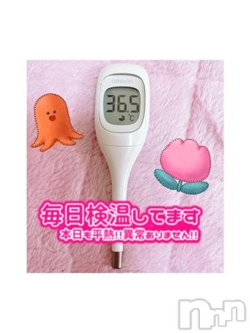 上越デリヘル密会ゲート(ミッカイゲート)せれな(23)の2023年3月17日写メブログ「☀️おはようございます☀️」