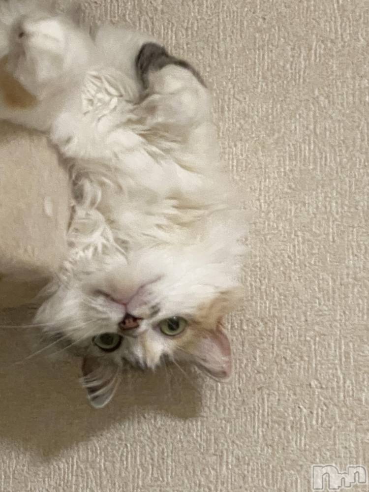 ��ˬ����Х��顦�����CLUB K����Prologue��(����֥���) �椭��11��10���̥�֥����֤ͤ��Ϥ�����Ρ�