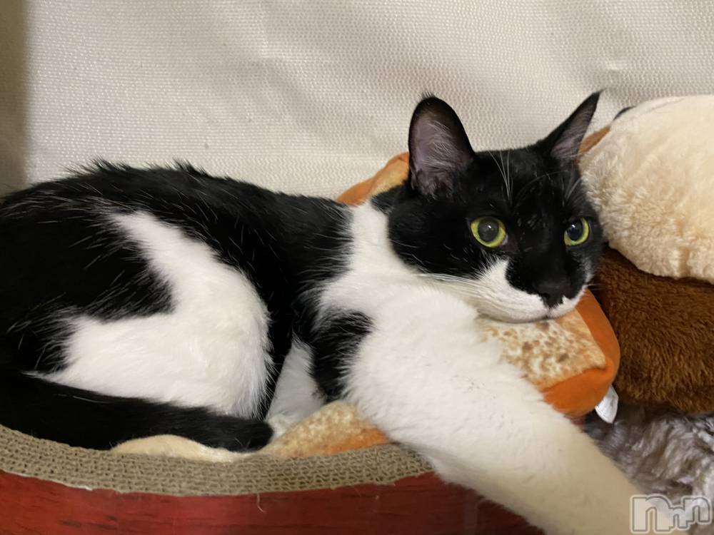 ��ˬ����Х��顦�����CLUB K����Prologue��(����֥���) �椭��11��20���̥�֥����֤ͤ��ˤʤꤿ����