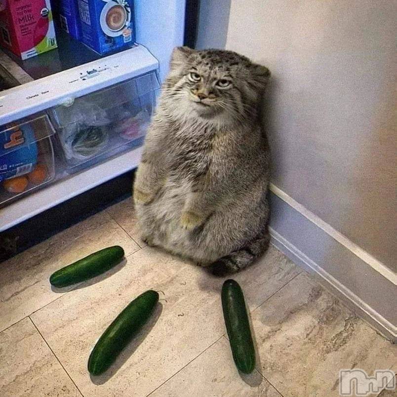 ��ˬ����Х��顦�����CLUB K����Prologue��(����֥���) �椭��3��29���̥�֥�����3��29�� 16��45ʬ�Υ֥�����