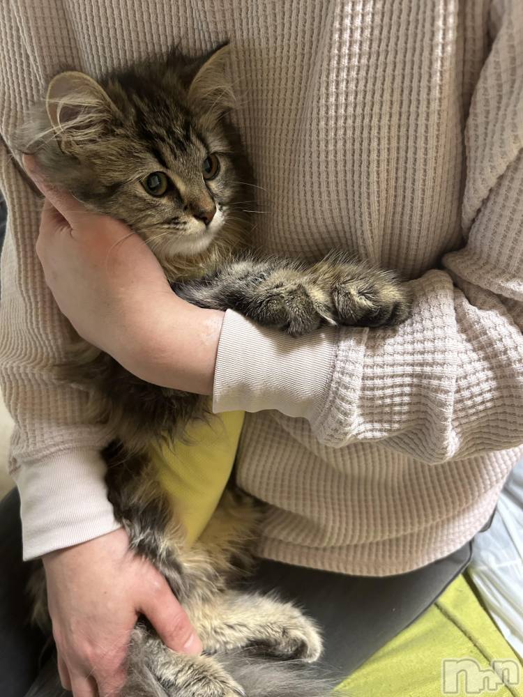 ��ˬ����Х��顦�����CLUB K����Prologue��(����֥���) �椭��5��23���̥�֥�����5��23�� 16��04ʬ�Υ֥�����