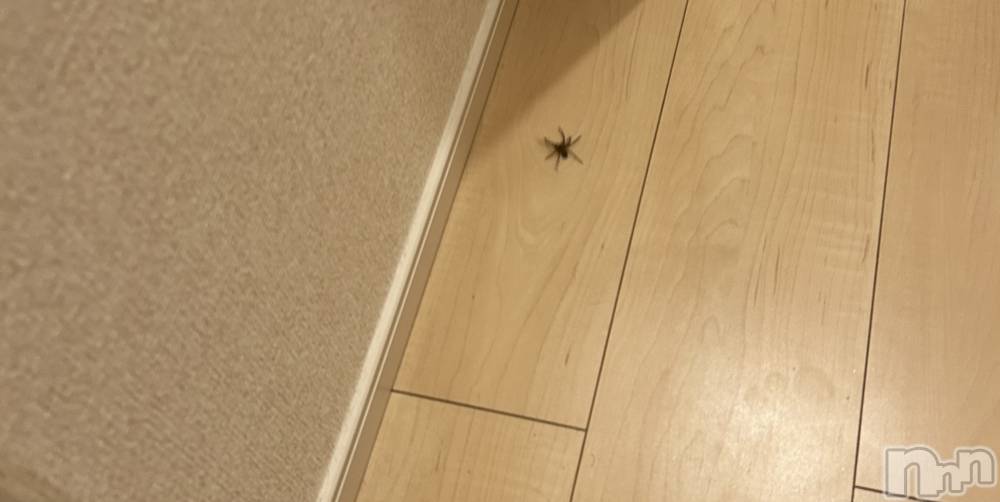 ��ˬ����Х��顦�����CLUB K����Prologue��(����֥���) �椭��6��25���̥�֥�����🕸🕷🕸🕷��