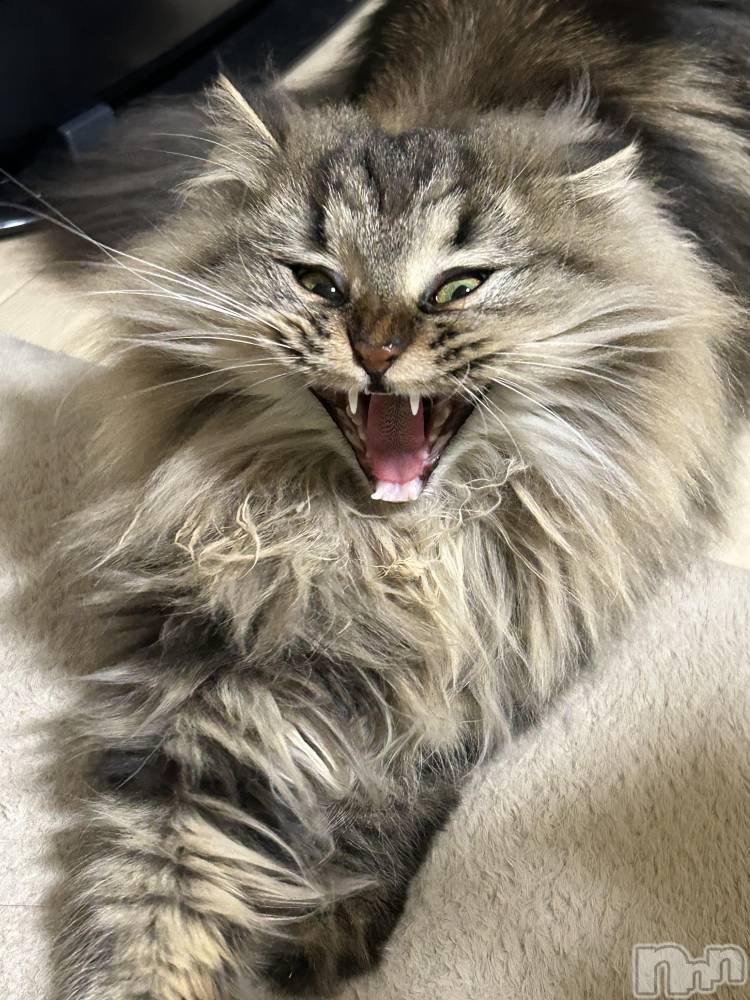 ��ˬ����Х��顦�����CLUB K����Prologue��(����֥���) �椭��12��4���̥�֥�����12��4�� 23��13ʬ�Υ֥�����