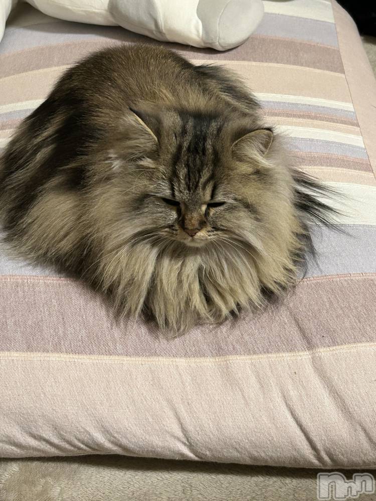 ��ˬ����Х��顦�����CLUB K����Prologue��(����֥���) �椭��1��8���̥�֥�����1��8�� 21��04ʬ�Υ֥�����