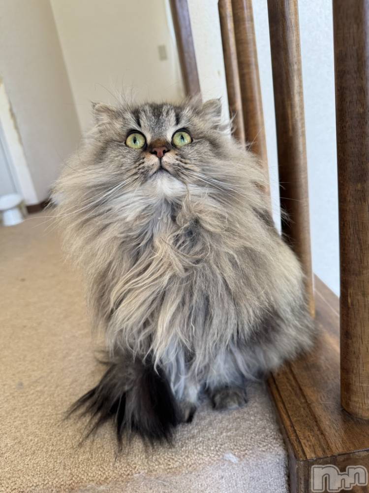 ��ˬ����Х��顦�����CLUB K����Prologue��(����֥���) �椭��1��25���̥�֥�����kawaii��