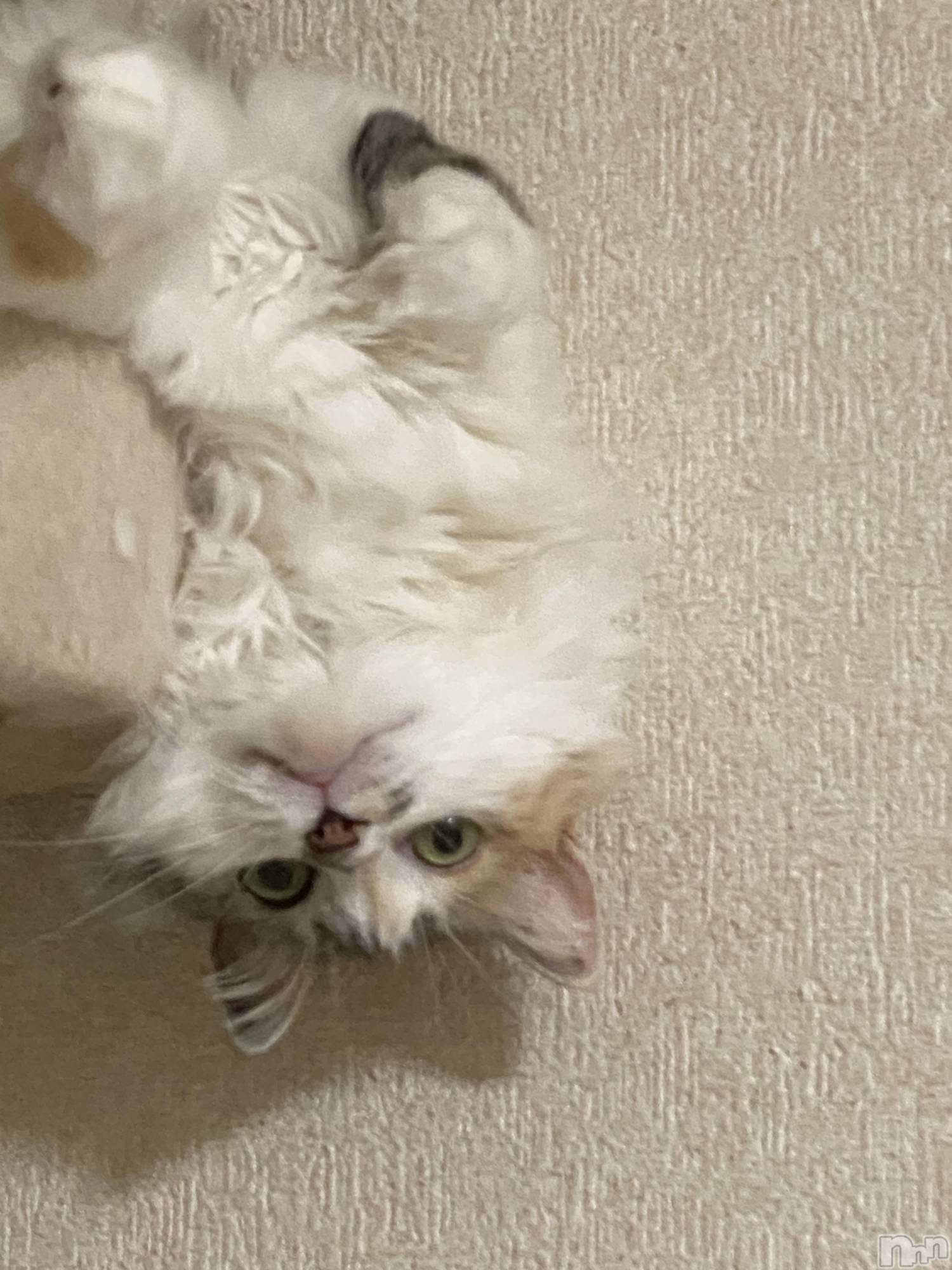 ��ˬ����Х��顦�����CLUB K����Prologue��(����֥���) ��2022ǯ11��10���̥�֥����֤ͤ��Ϥ�����Ρ�