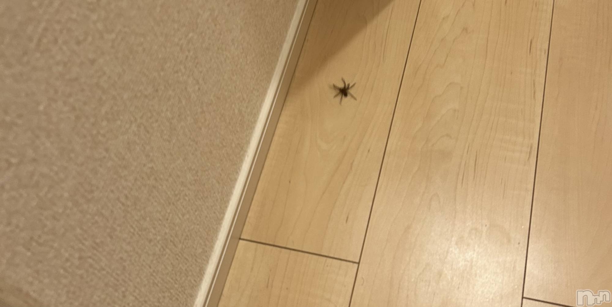 ��ˬ����Х��顦�����CLUB K����Prologue��(����֥���) ��2024ǯ6��25���̥�֥�����🕸🕷🕸🕷��