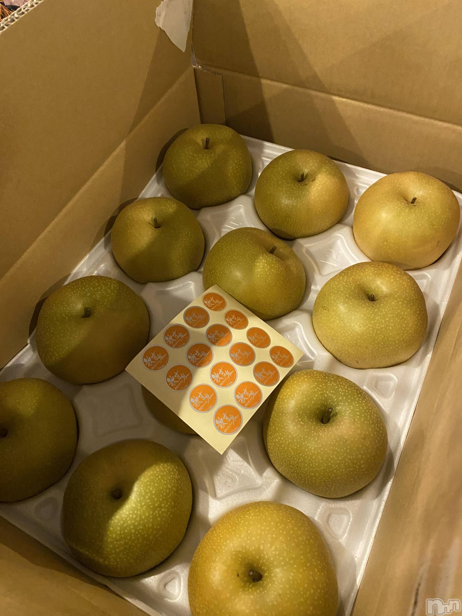 ��ˬ����Х��顦�����CLUB K����Prologue��(����֥���) ��2024ǯ9��17���̥�֥�����🍐( '-'  🍐)��