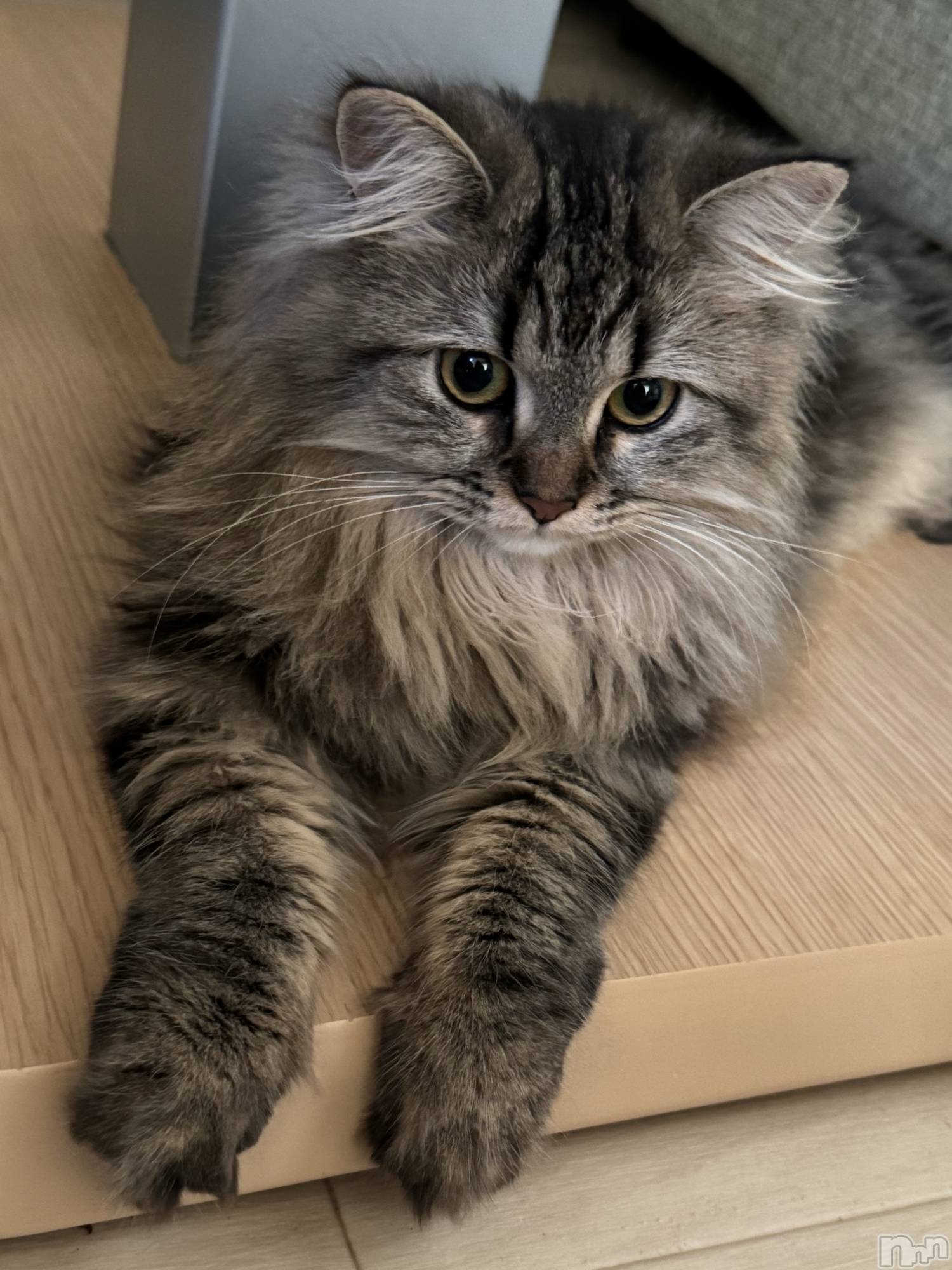 ��ˬ����Х��顦�����CLUB K����Prologue��(����֥���) ��2024ǯ11��9���̥�֥�����11��9�� 20��06ʬ�Υ֥�����