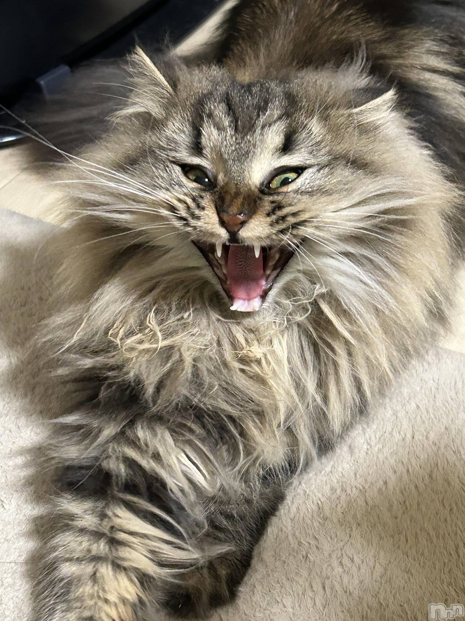 ��ˬ����Х��顦�����CLUB K����Prologue��(����֥���) ��2024ǯ12��4���̥�֥�����12��4�� 23��13ʬ�Υ֥�����