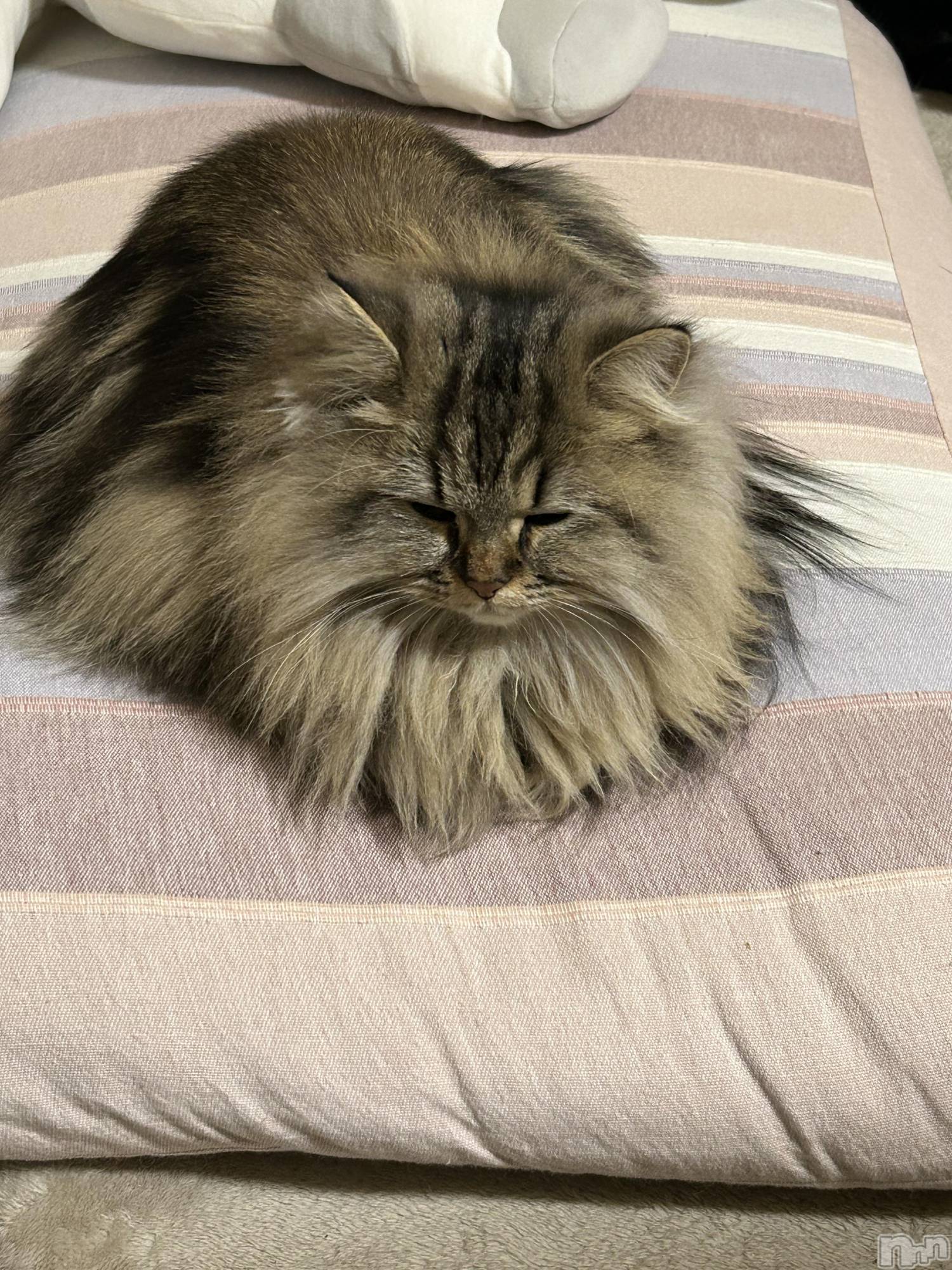 ��ˬ����Х��顦�����CLUB K����Prologue��(����֥���) ��2025ǯ1��8���̥�֥�����1��8�� 21��04ʬ�Υ֥�����