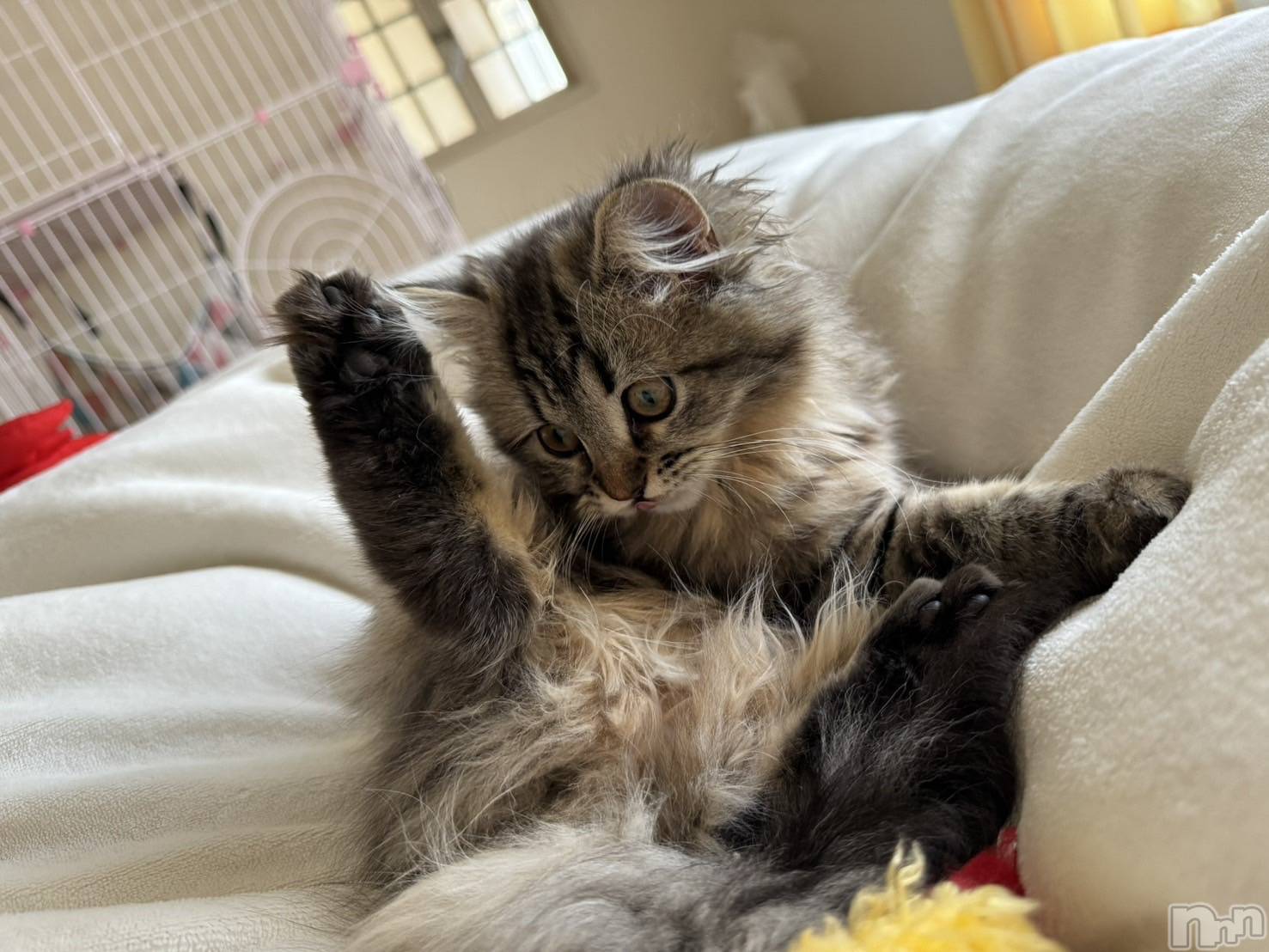 ��ˬ����Х��顦�����CLUB K����Prologue��(����֥���) ��2025ǯ5��16���̥�֥�����5��16�� 17��50ʬ�Υ֥�����