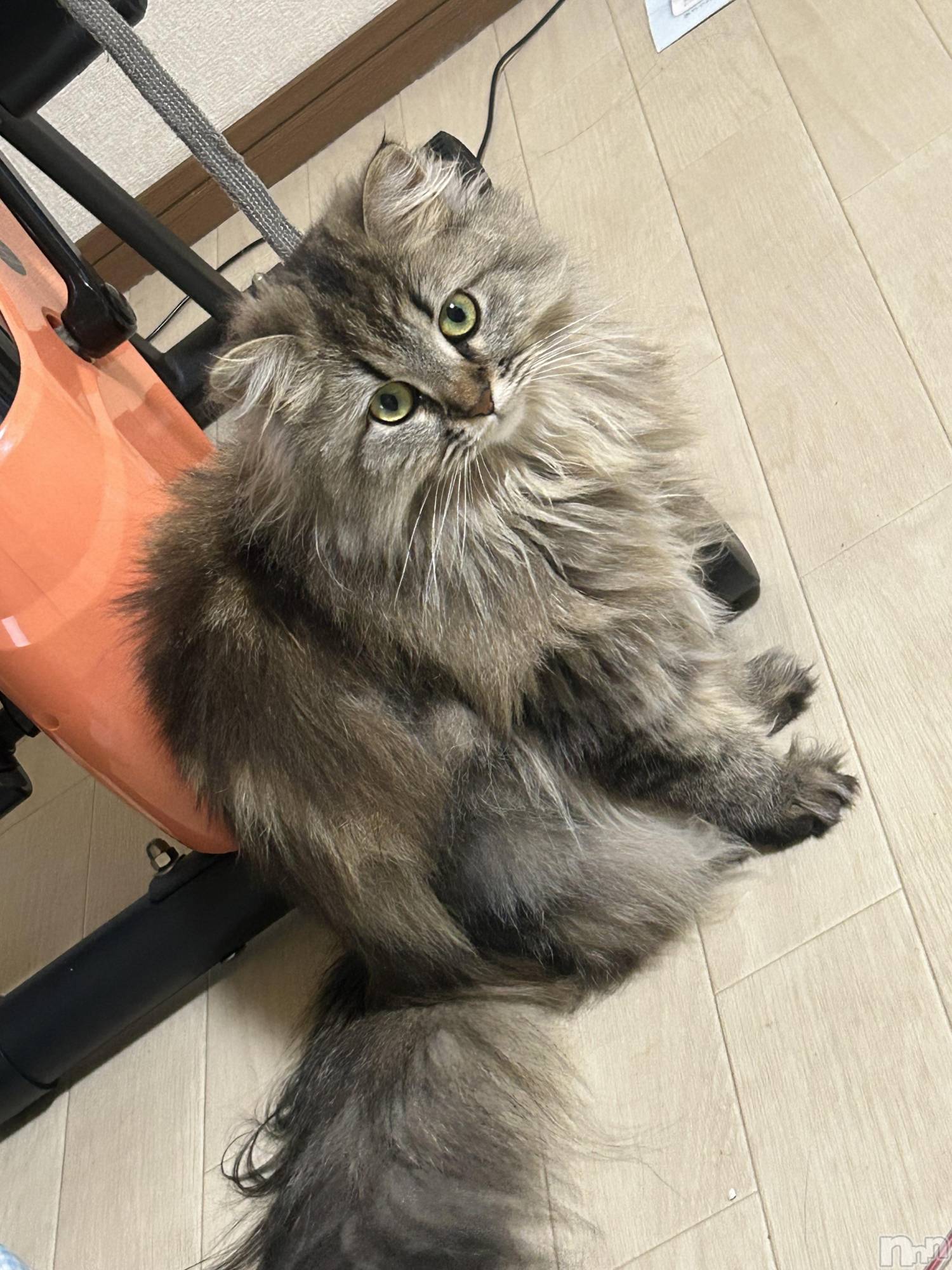 ��ˬ����Х��顦�����CLUB K����Prologue��(����֥���) ��2025ǯ8��10���̥�֥����֤����Τ���