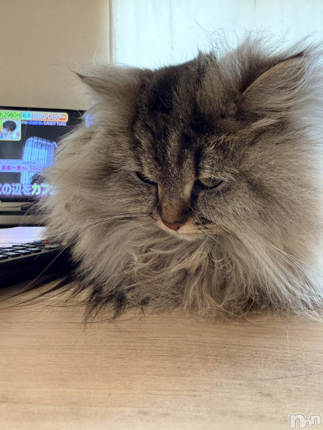 ��ˬ����Х��顦�����CLUB K����Prologue��(����֥���) ��2026ǯ1��9���̥�֥������Ӷ̡�