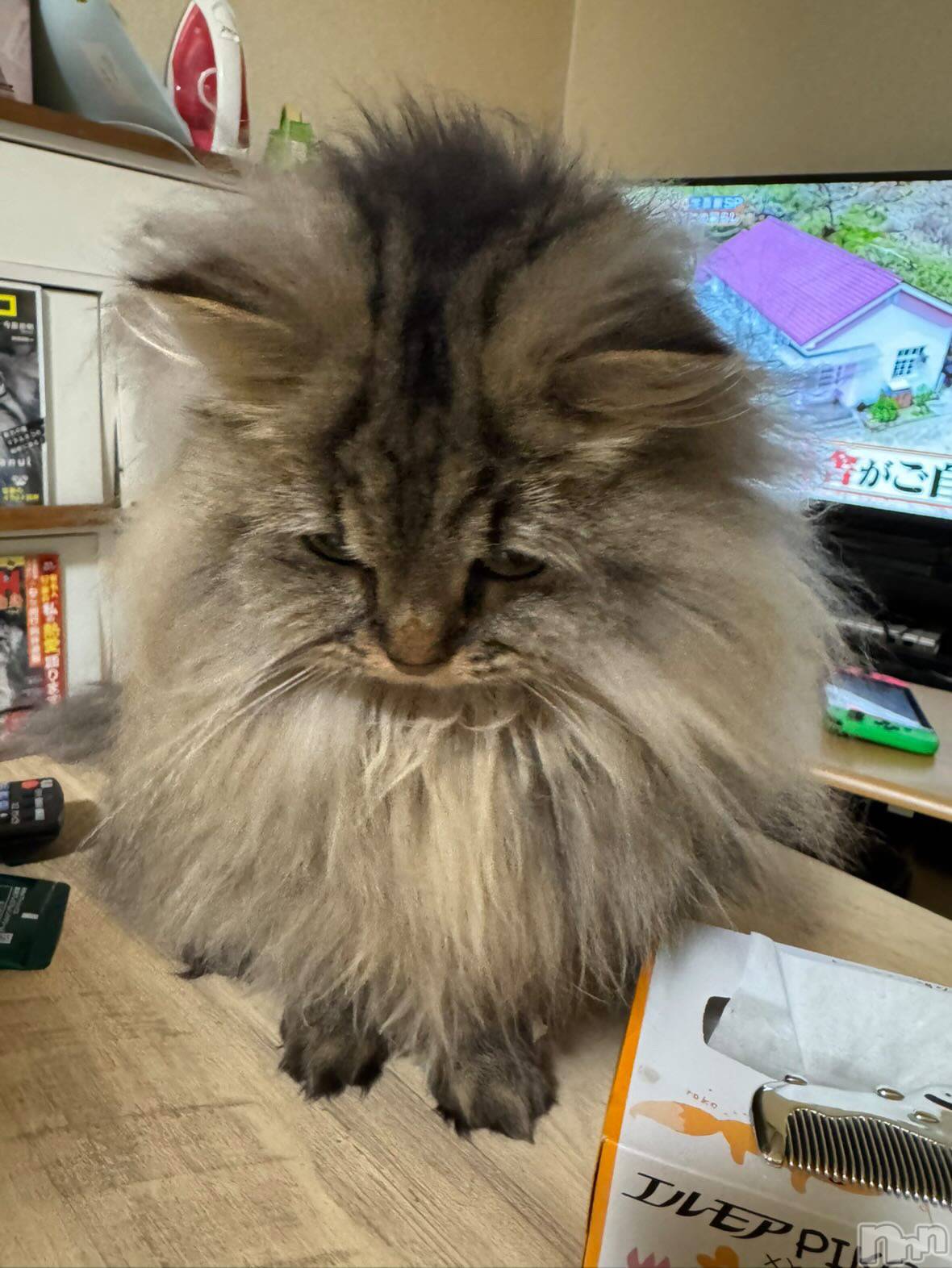 ��ˬ����Х��顦�����CLUB K����Prologue��(����֥���) ��2026ǯ1��15���̥�֥�����kawaii��