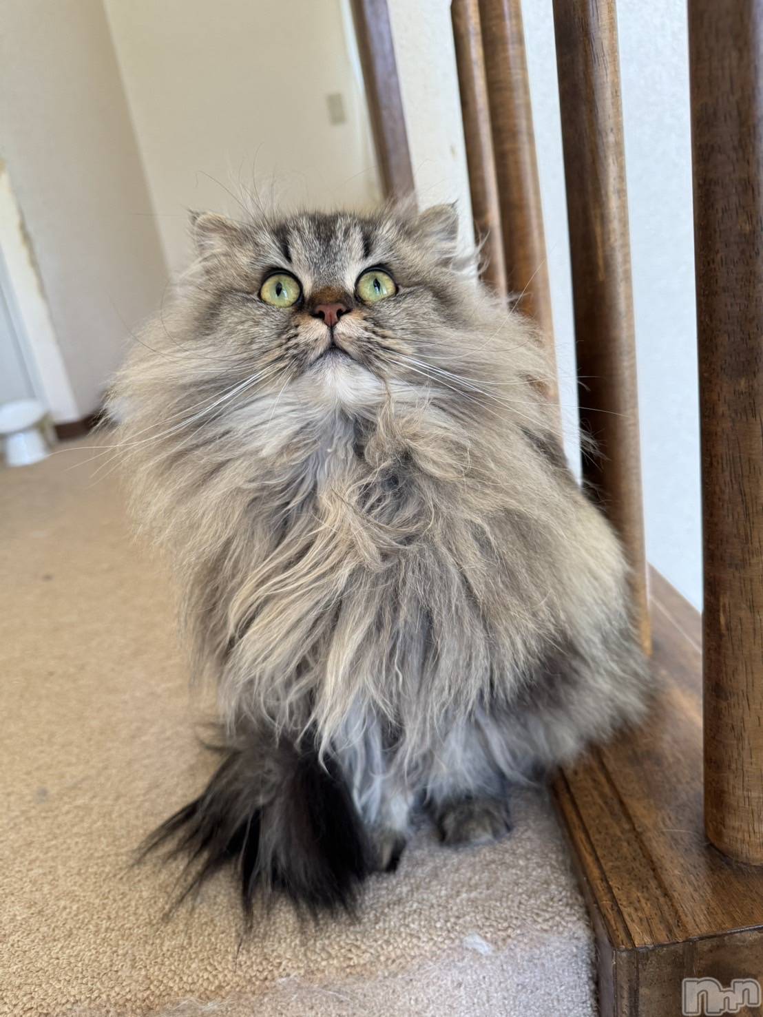 ��ˬ����Х��顦�����CLUB K����Prologue��(����֥���) ��2026ǯ1��25���̥�֥�����kawaii��