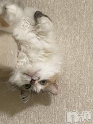 ��ˬ����Х��顦�����CLUB K����Prologue��(����֥���) �椭��11��10���̥�֥����֤ͤ��Ϥ�����Ρ�