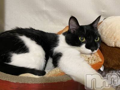 ��ˬ����Х��顦�����CLUB K����Prologue��(����֥���) �椭��11��20���̥�֥����֤ͤ��ˤʤꤿ����