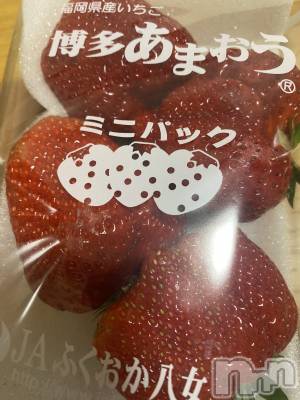 ��ˬ����Х��顦�����CLUB K����Prologue��(����֥���) �椭��4��15���̥�֥����֤�������