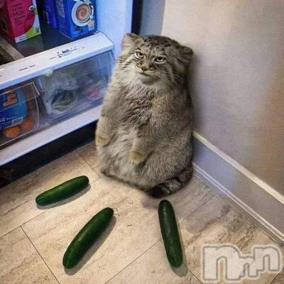 ��ˬ����Х��顦�����CLUB K����Prologue��(����֥���) �椭��3��29���̥�֥�����3��29�� 16��45ʬ�Υ֥�����