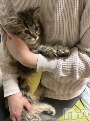 ��ˬ����Х��顦�����CLUB K����Prologue��(����֥���) �椭��5��23���̥�֥�����5��23�� 16��04ʬ�Υ֥�����