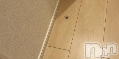 ��ˬ����Х��顦�����CLUB K����Prologue��(����֥���) �椭��6��25���̥�֥�����🕸🕷🕸🕷��