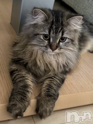 ��ˬ����Х��顦�����CLUB K����Prologue��(����֥���) �椭��11��9���̥�֥�����11��9�� 20��06ʬ�Υ֥�����